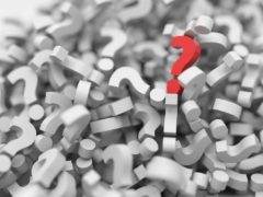 Questions Florida Divorce